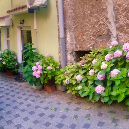 Apartament Kala De Flores With Balcony And Szybenik