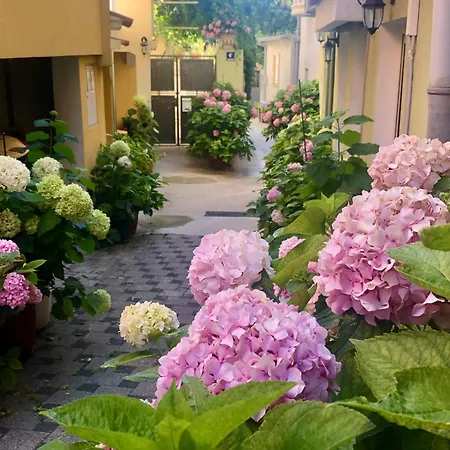 Kala De Flores With Balcony And Apartament Szybenik