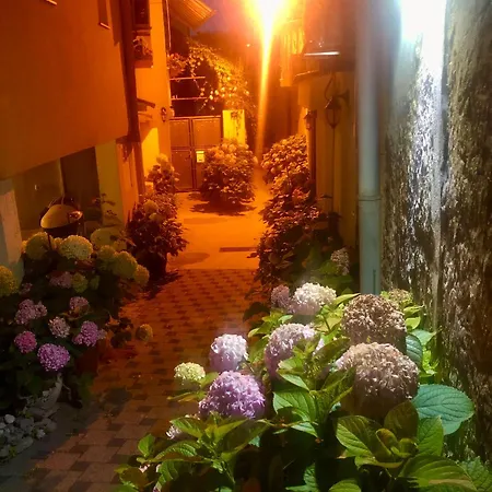 Kala De Flores With Balcony And