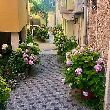Kala De Flores With Balcony And
