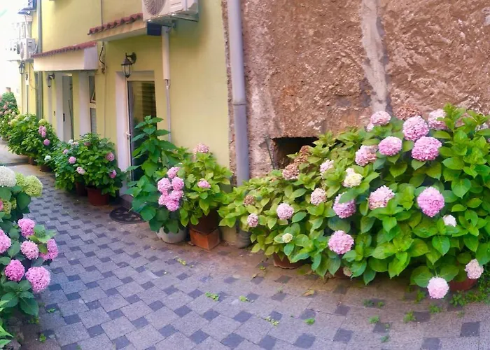 Apartament Kala De Flores With Balcony And Szybenik