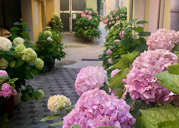 Kala De Flores With Balcony And 아파트 시베니크