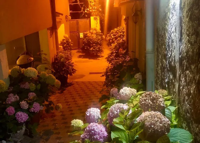 Kala De Flores With Balcony And