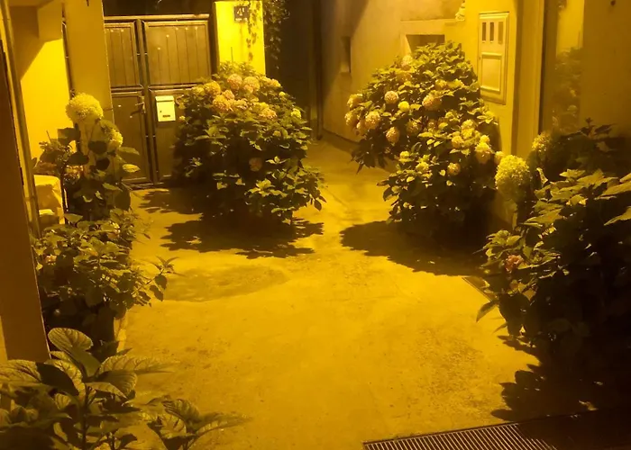 Kala De Flores With Balcony And * 시베니크