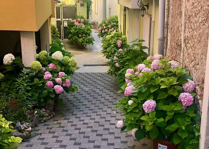 Kala De Flores With Balcony And